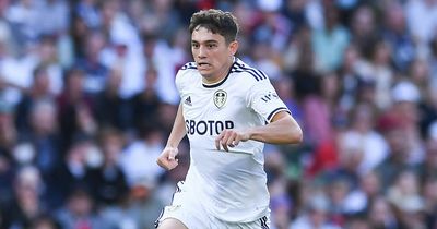 Leeds United's new-look attack will have a fresh role for Daniel James after failed experiment