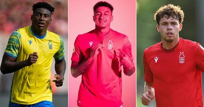 Nottingham Forest divisive transfer gamble analysed as summer spending spree hits £70m