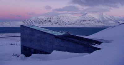 Inside 'doomsday' vault near the North Pole designed to prevent human extinction