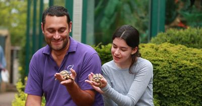 Tortoises at Lanarkshire zoo could hold the secret to eternal youth