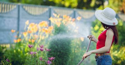 Cooking, washing-up and gardening 'can cut the risk of Alzheimer's'