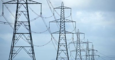 Power supplies could be 'tight' at times this winter, electricity body says