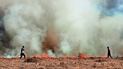 Delhi: Cash incentives to tackle farm fires?