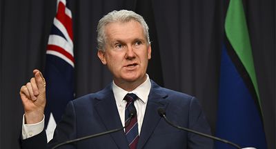 It’s karma: Tony Burke’s opposition to voluntary assisted dying has come back to bite him