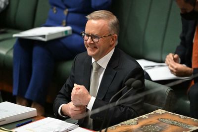 Albanese parrots a pro-coal talking point as Ampol offers ‘carbon neutral’ petrol