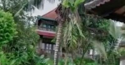 Woman turns up at Airbnb to find it's a 'completely overgrown' abandoned villa