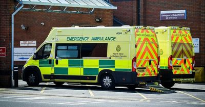 Patient waits 'six hours' in ambulance as '100 people fit for discharge stuck in hospital beds' during paramedic's 'worst shift ever'
