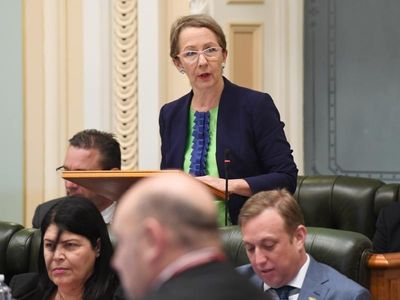 Two tradies wooed by $2m Qld govt program