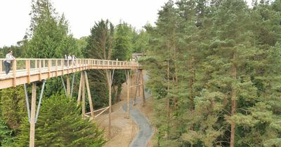 Man nearly crushed by part of tree in 'freak accident' at Beyond The Trees attraction in Wicklow