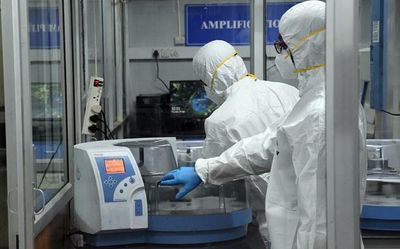 Task force to be set up to provide guidance to govt. on tackling monkeypox