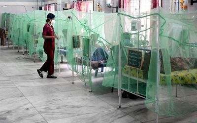 Manipur sees increase in dengue cases