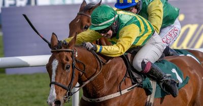 Galway Races Ladies Day tips for all seven races as Galway Hurdle takes place