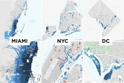 These hurricane flood maps reveal the climate future for Miami, NYC and D.C.