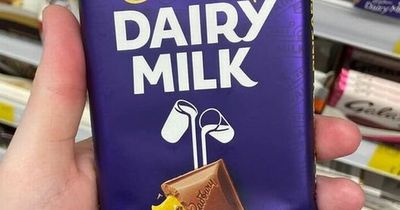 Cadbury divides shoppers with controversial new £1 chocolate bar flavour