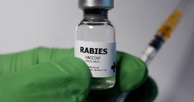 What is rabies and can you get it in Scotland as new vaccine performing 'better than expected'