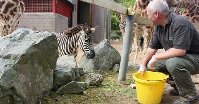Belfast Zoo wins top award for diversity and inclusion