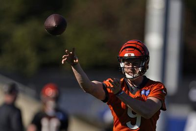 Here’s why Bengals aren’t concerned about Joe Burrow’s absence