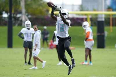 Dolphins WR Preston Williams entering make-or-break year in 2022