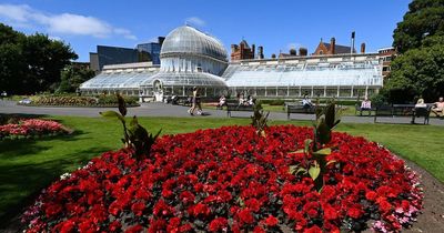 Northern Ireland weekend weather forecast as temperature to rise again