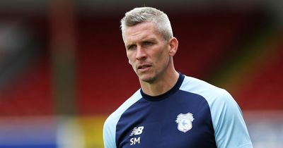 Steve Morison reveals his biggest challenge this season as he delivers unequivocal message to Cardiff City fans