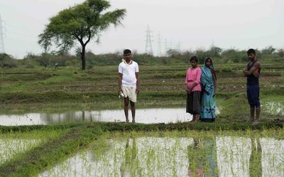 Lightning kills 49 this week in U.P., experts say rise in strikes could be due to climate change