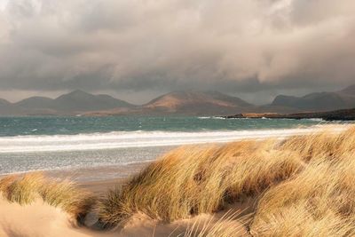 'Worst summer for decades': Western Isles struggles for sun as heatwaves boil mainland