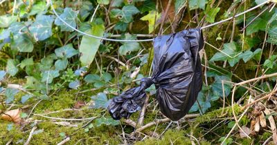 Scots council ask people to 'bag and bin it' as human waste problem gets out of hand