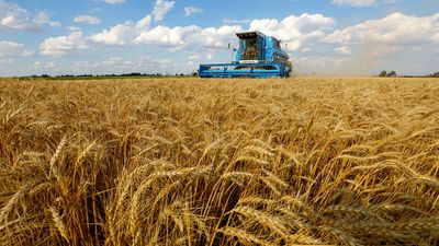 Ukraine moves closer to resuming grain exports as UN-backed deal is agreed