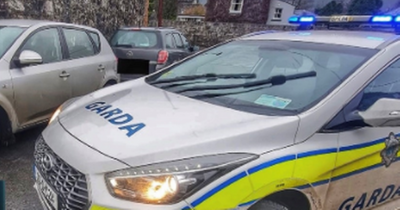 DUP councillor fumes as Garda car allegedly spotted in Tyrone miles from Irish border