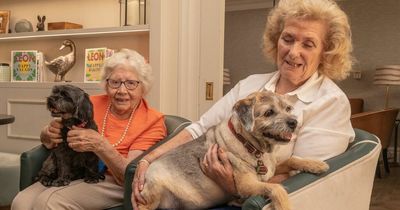 Celebrity canine trainer says dogs in care homes can improve residents' lifespans