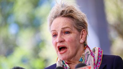 Alannah MacTiernan in fight to retain agriculture portfolio amid WA foot-and-mouth disease fears