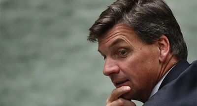 Angus Taylor, shadow minister for misgendering