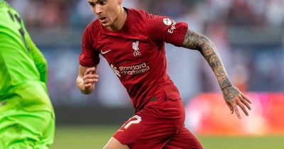 Jurgen Klopp comment shows Darwin Nunez and Roberto Firmino difference Liverpool players must learn