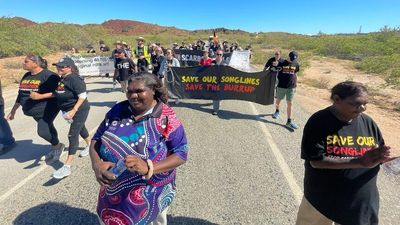 Perdaman's plans to relocate rock art for fertiliser plant feel 'rushed', traditional owners say