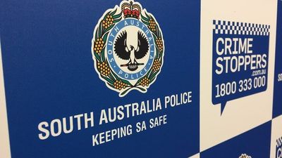 SA Police investigating further alleged assaults by massage therapist at Glenelg, court hears