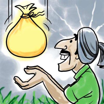 Maharashtra: Activists call for farm compensation for recent flood losses