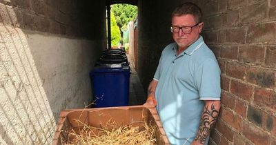 Fury over 4ft weeds and litter on scruffy street resident says is being 'overlooked'