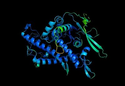 Google’s DeepMind AI cracks 3D structure of nearly all proteins known to science in major breakthrough