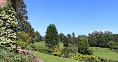 Castle Douglas house to open gardens to the public for charity