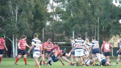 Ballarat rugby union club misses home games as Melbourne teams forfeit due to distance