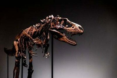 Gorgosaurus: Rare ancient dinosaur skeleton sells for $6m at Sotheby’s auction