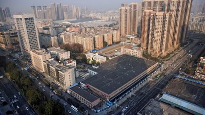 Studies suggest Wuhan link to Covid-19, but WHO warns against dismissing other theories