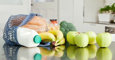 Expert warns of 'increased threat' of E. coli-spreading flies that may lay eggs on your food