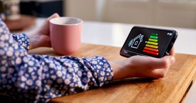 Scots households to get £60 off their energy bills each month through winter