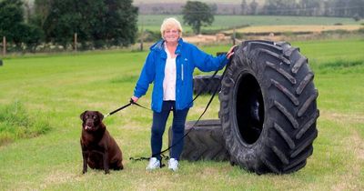 New dog exercise park in the Ayrshire countryside opens this weekend