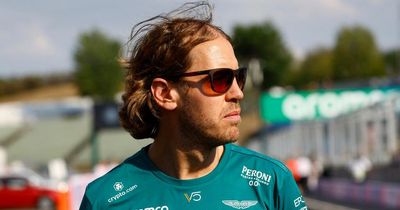 Sebastian Vettel could stay in F1 in different role as other drivers make request