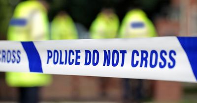 Woman, 60, and man, 78, arrested for murder of baby - as cops hunt 2 dog walkers