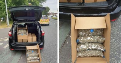 Police find 20 bags stuffed full of cannabis in car stopped on Princess Parkway