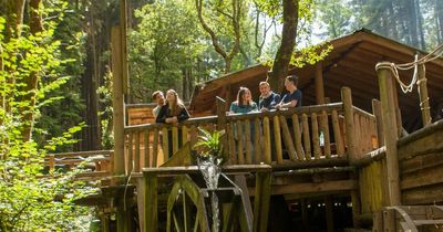 Bluestone beats Center Parcs in list of the best holiday parks in the UK by Which? magazine