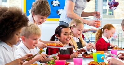 Expert warns three-quarters of school lunches are made up of junk food